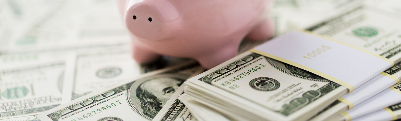 money and piggy bank financing
